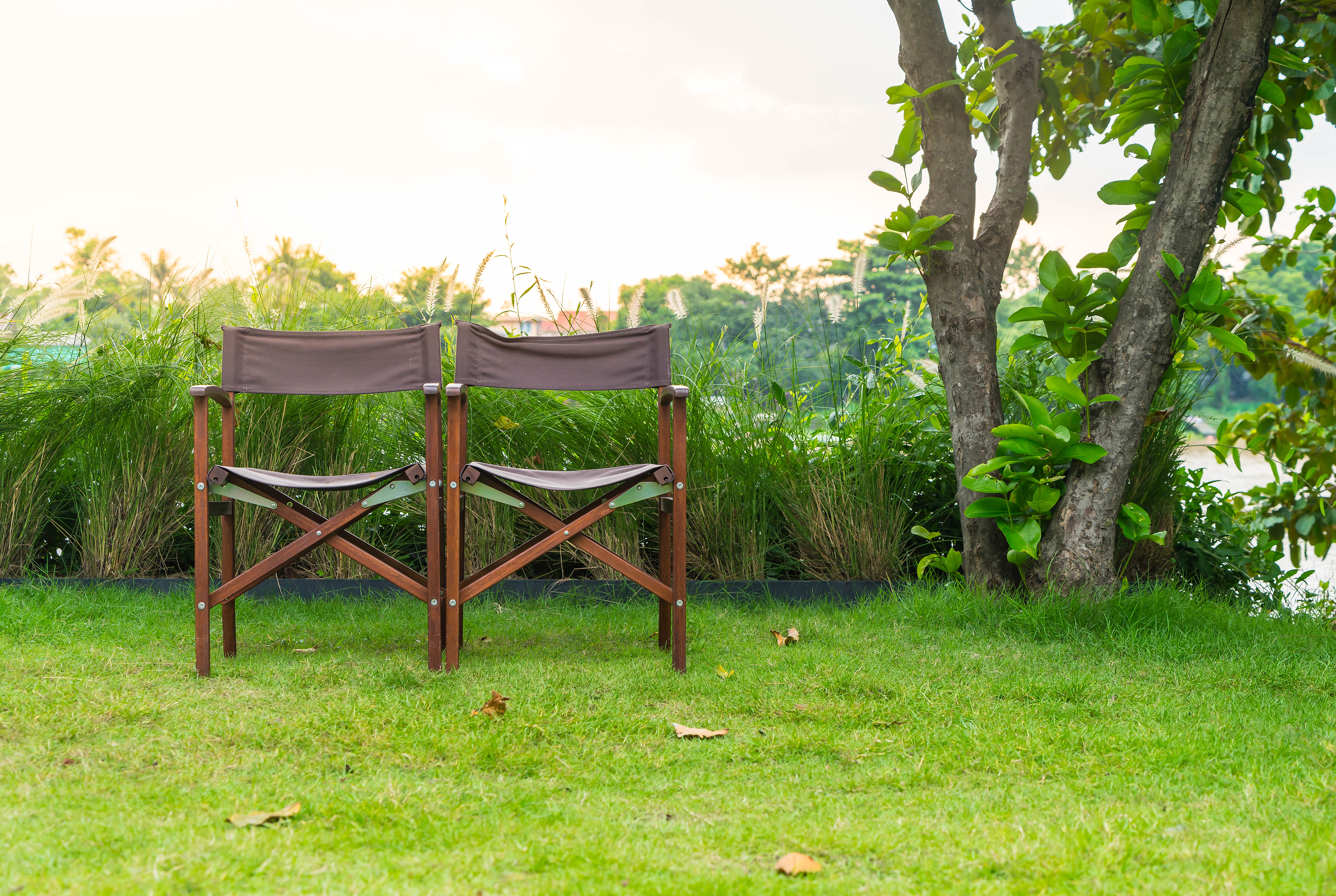Limpieza del terreno — vista banner